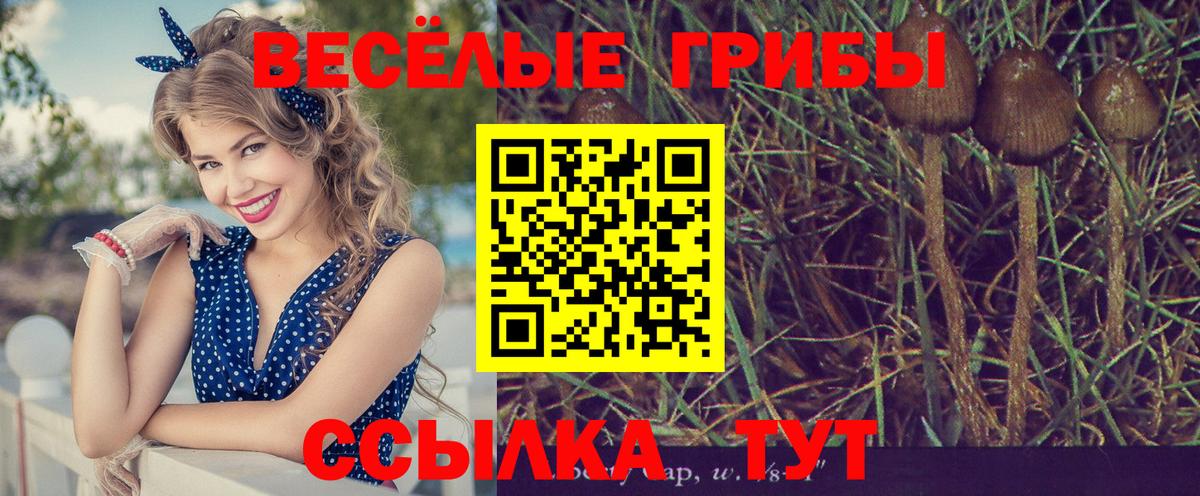 как найти наркотики  Вход с VPN  Южно-Сахалинск  Псилоцибиновые грибы Magic Shrooms 